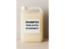 SHAMPO AUTO ECONOMICO P/ LAVADEROS
