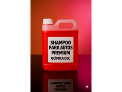 SHAMPO AUTO PREMIUM CON AROMA