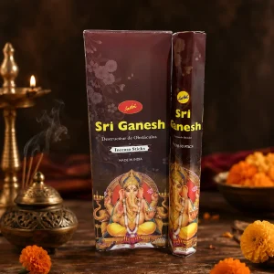 SAHUMERIOS HEXAGONALES SREE VANI X20 UNIDADES SRI GANESH